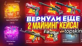 15 000 НА ПРОВЕРКУ ДВУХ ВЕРНУВШИХСЯ МАЙНИНГ КЕЙСОВ! (topskin | топскин)