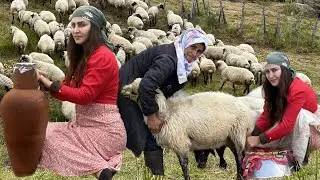 Daily life in nomadic life: Preparing dairy products in the mountains ⛰️⛰️🏡