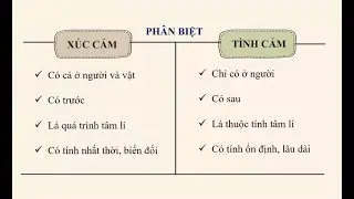 Nghiệp Vụ Sư Phạm Dạy Đại Học Buổi 9. Khái Niệm, Đặc Trưng Và Quy Luật Đời Sống Tình Cảm 22.04.2024