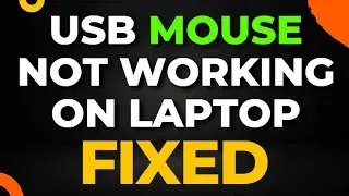 USB Mouse Not Working on Laptop