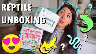 UNBOXING 2 NEW PETS (they're so cute!)