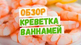 Креветка Ваннамей варено-мороженная чищеная без вены 61-70