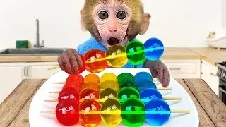 Monkey Baby Bon Bon eats rainbow jelly with puppies and bathes with ducklings in the bathroom