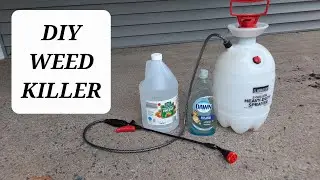 DIY Vinegar Weed Killer Recipe that works #shorts