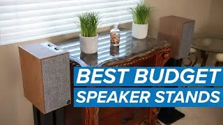 Best BUDGET Speaker Stands from Monoprice?