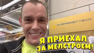 Витус прилетел в Москву к Мелстрою! Витус ищет Мелстроя