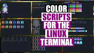 Trick Out Your Terminal With Shell Color Scripts