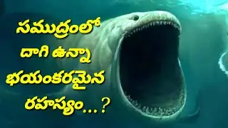 సముద్రం లో దాగి ఉన్న భయంకరమైన జీవి ,megalodon , mariana trench || rk entertainment ||