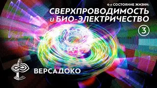 4-е СОСТОЯНИЕ ЖИЗНИ: Сверхпроводимость и биоэлектричество. Часть 3/5 - ВЕРСАДОКО