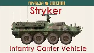 Stryker: между Bradley и Хаммером