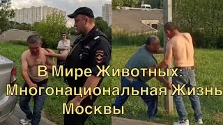 В Мире Животных. Дружинники Русской Общины Утихомирили и Сдали Полиции Ценнейших Специалистов