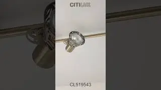 Citilux Винон CL519543 Спот поворотный Бронза