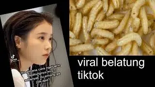 Viral Belatung Tiktok | Video asli Belatung Tiktok No Sensor 