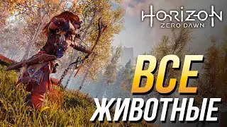 Horizon Zero Dawn - Все животные/ Все места для охоты