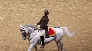 The Spanish Riding School of Vienna