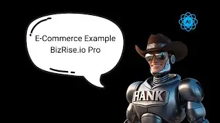 E Commerce Example | BizRiseio Pro