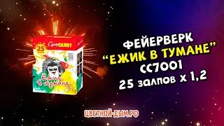 Салют Ежик в тумане (дневной салют)  25 х 1,25 арт. СС7001 Супер