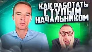 Я начальник, ты дурак! Как работать с ТУПЫМИ РУКОВОДИТЕЛЯМИ? Владимир Якуба. СОВЕТЫ.