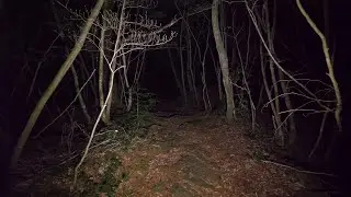 4K・Walking at night in Aokigahara forest (no pranks, not scary. ASMR?)