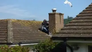 Seagulls attack man on roof near their nest. Bird busters team have a better idea