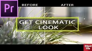 Cinematic Film look in premiere pro | Cinematic look tutorial | premiere pro.