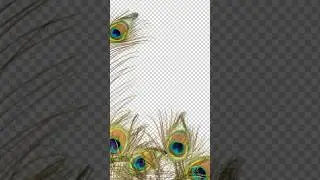 Unlock The Secrets To Flawless Feather Selection in Photoshop! 🤯 