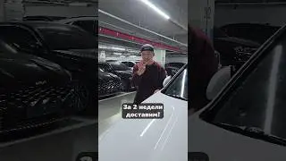 Santa Fe из Кореи за 1 МИЛЛИОН Рублей! 