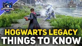 Hogwarts Legacy - Release Date, Deluxe Edition, Story, Gameplay, Combat, Companions, Xbox, PS5, PC