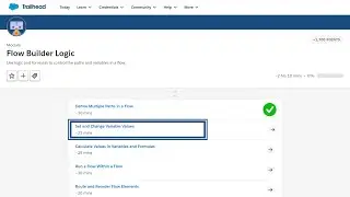 Set and Change Variable Values || Flow Builder Logic