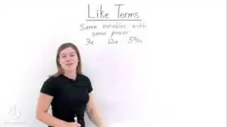 What are Like Terms?