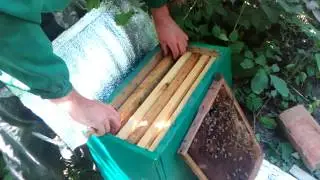 Отводок пчел🐝КАК УВЕЛИЧИТЬ ПАСЕКУ🐝Улей для отводка на 6 рамок.Сендвич улей с пенопласта и ДВП