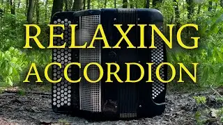 Accordion Relaxing Music 🪗