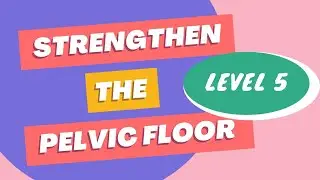 Pelvic Floor Strength | Level 5 (Gentle Impact)