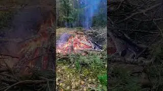 огонь лес