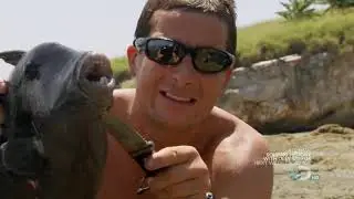 Bear Grylls Eats _ Man Vs Wild Season 4_ Eating Compilation (1080P_HD)