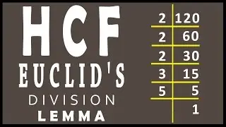 Finding HCF using Euclids Division Lemma in real numbers | Math | Letstute