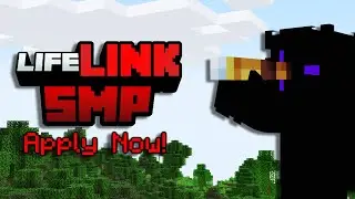 LifeLink SMP | SMP For Creators - Applications Open