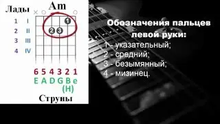 Схемы аккордов. Для начинающих. Как читать