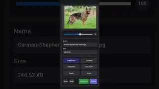 Image Editor in Javascript Without using any API || HTML CSS and JavaScript project 