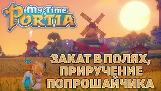 Закат в полях, приручение Попрошайчика ❄ My Time At Portia ❄ №119