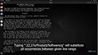 Vim Substitution