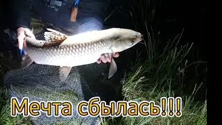 Амур дал жару!!! Володя падал в воду за ним...