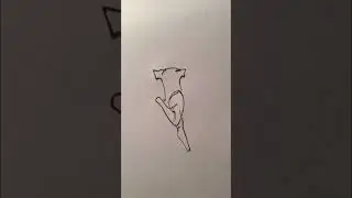#Drawing