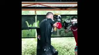 Petr Yan vs Alexander Volkanovski hard sparring | #petryan #alexandervolkanovski #ufc #sparring