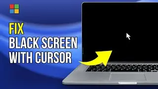 How to Fix Black Screen with Cursor on Windows 11?