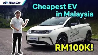 2023 BYD Dolphin Dynamic Standard Review in Malaysia, this or Honda City/Toyota Vios? | WapCar