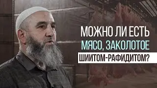 Можно ли есть мясо, заколотое шиитом-рафидитом?