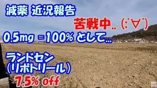 【減薬】 ランドセン（リボトリール） 7.5％ off 【ちょっと苦戦中..😓】　　／ パニック障害、うつ　　　／ 0.5mg=100%として