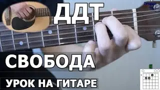 Как играть ДДТ - Я еду к тебе (свобода) | Видео урок на гитаре