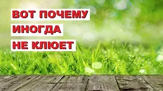 8 самых ВАЖНЫХ причин ПОЧЕМУ НЕ КЛЮЕТ! SeMano TV